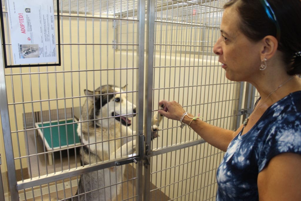 DeKalb officially opens new animal shelter On Common Ground News 24