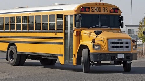 bus