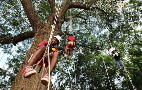 tree climb kid