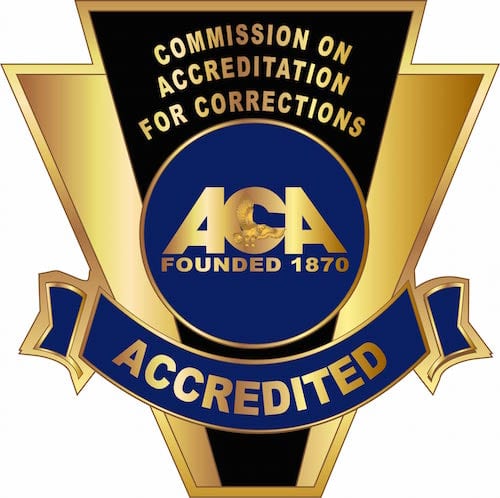 C-96026 American Correction Assoc-Accredited Pin