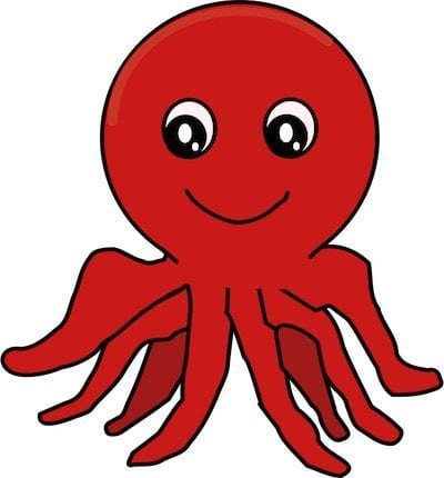 octopus11