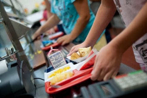 free and reduced lunch