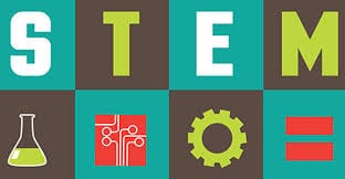 stem
