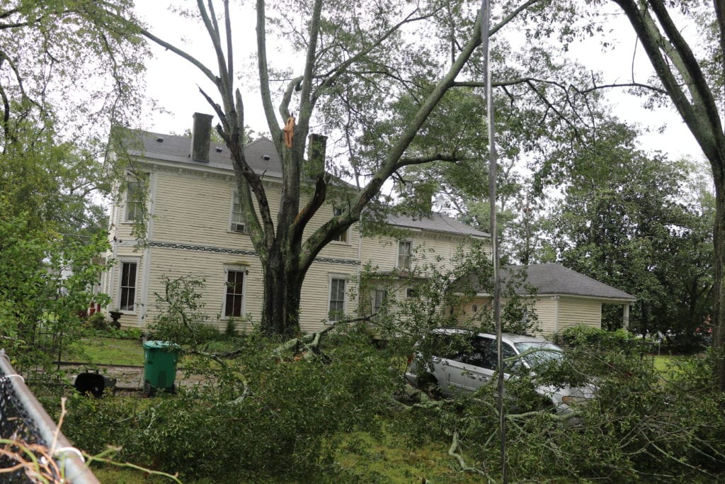 Irma 3