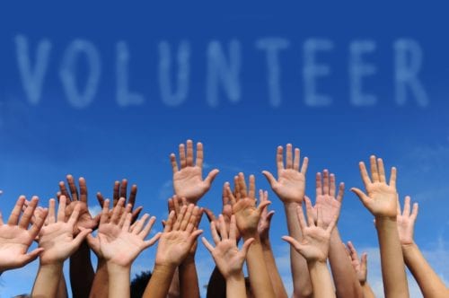 volunteer