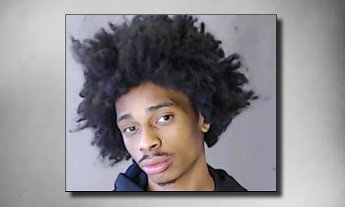 Damien Christopher Boydweb