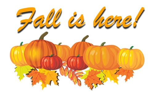 fall-pumpkins
