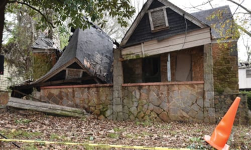 blight1
