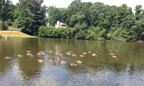 chapell-hill-lake