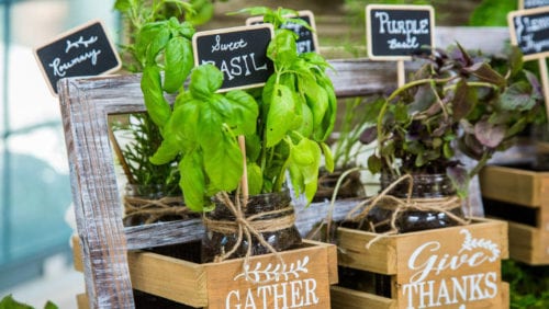 Herb-garden