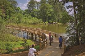 Panola Mountain State Park