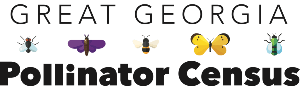 pollinator