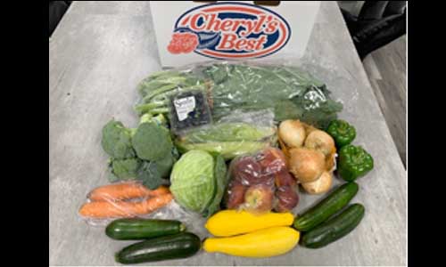 Food 11