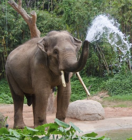 zoo-atlanta-ga-th