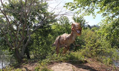 Dino 11