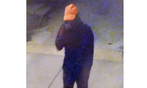 burglary suspect