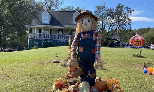 fall festval
