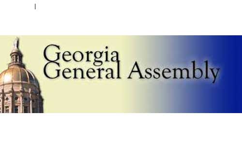 Georgia General Assembly 11