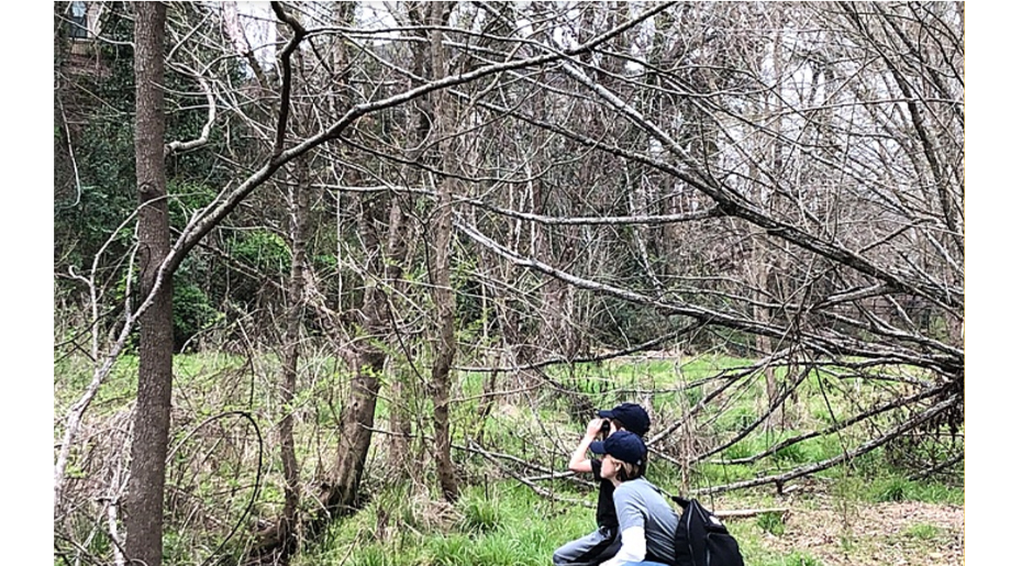 DeKalb Parks 22